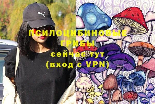 гидра Алзамай