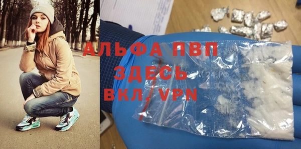СК Алексеевка